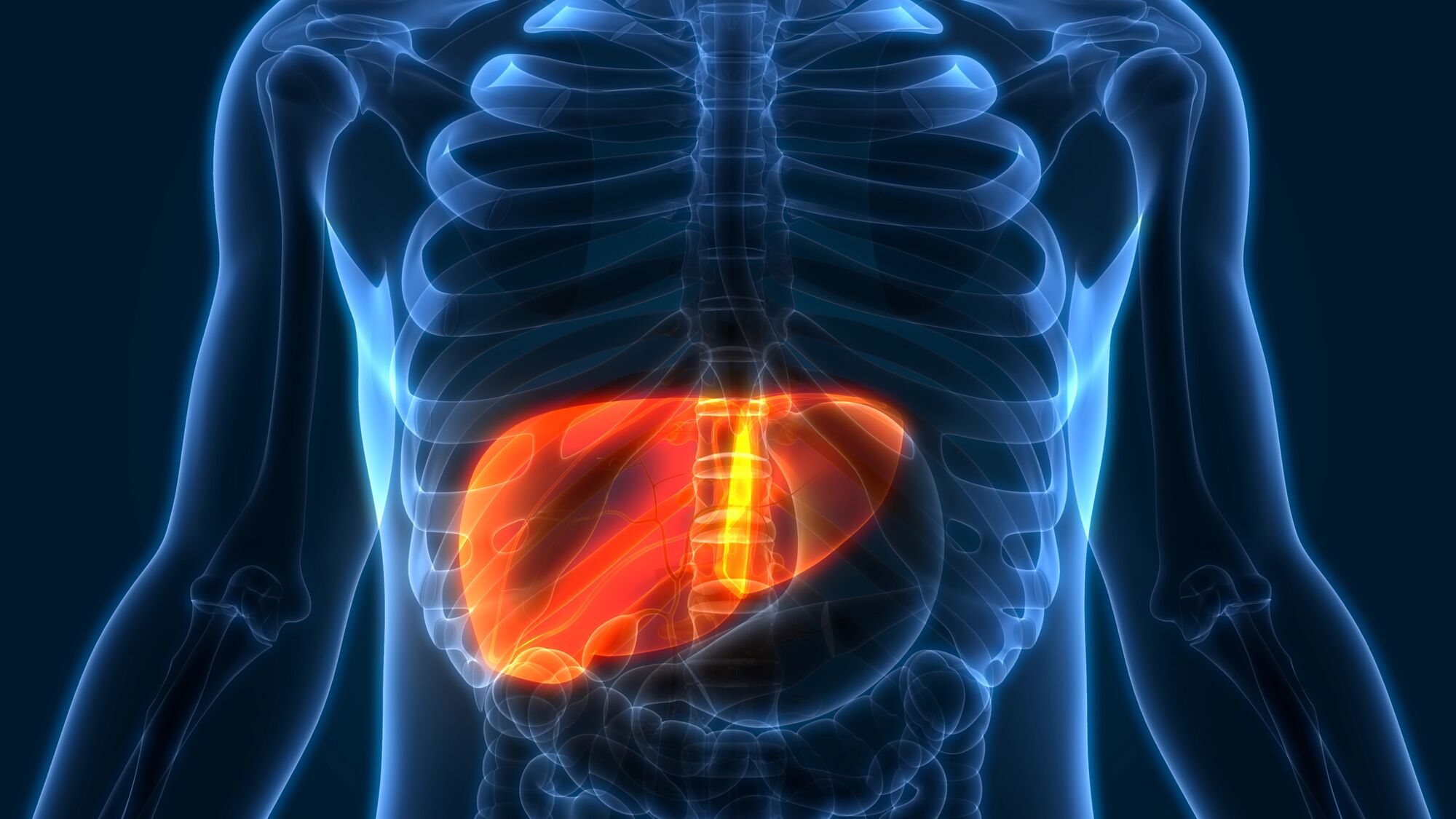 alcohol-related liver disease is is one of the most serious consequences of long-term alcohol use